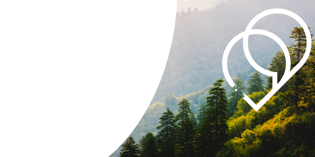 An introduction to translation collaboration