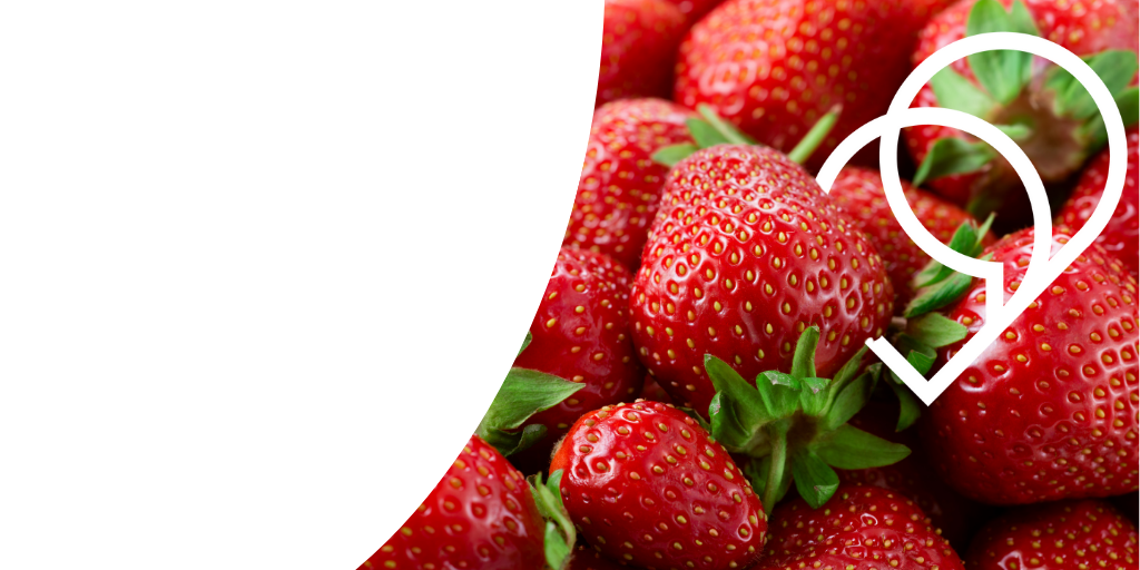 Effizienz freisetzen: Wie Sie mit Trados smarter arbeiten