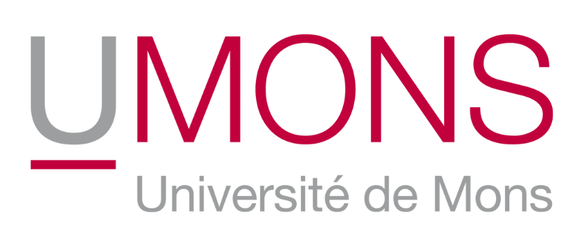 University of Mons