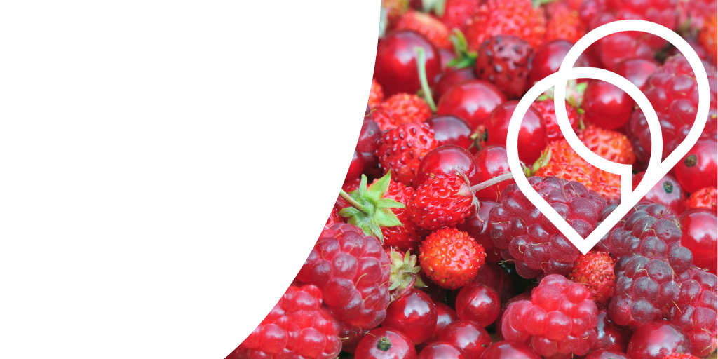 An introduction to translation collaboration