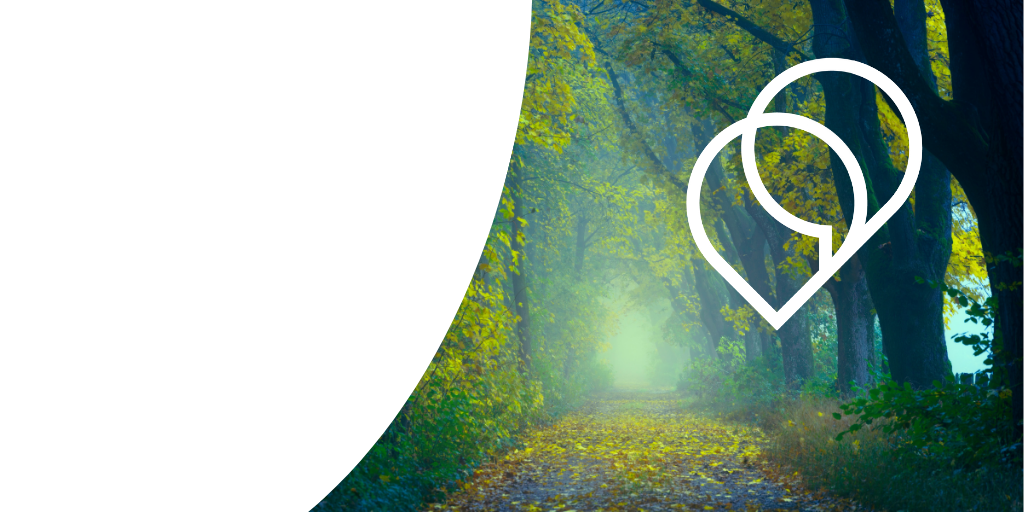 An introduction to translation collaboration