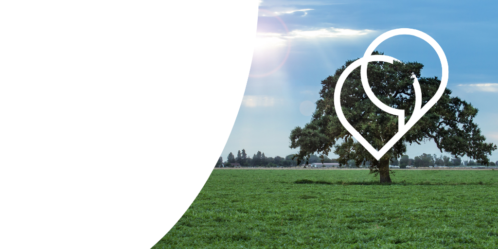 An introduction to translation collaboration