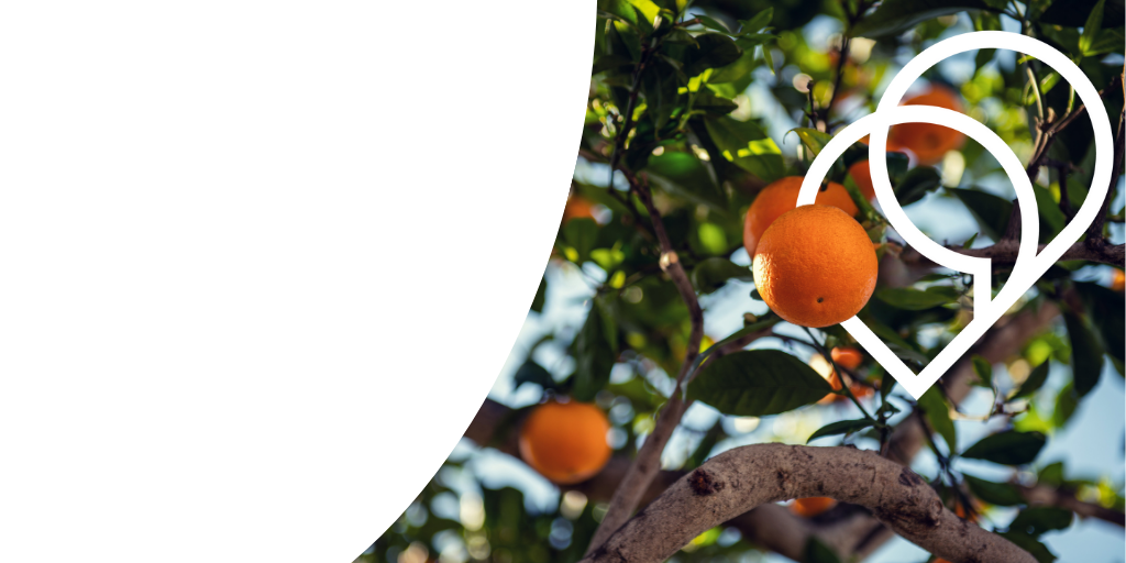 What’s new in Trados Q2 2024