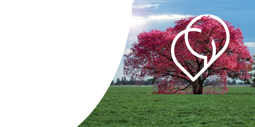 An introduction to translation collaboration