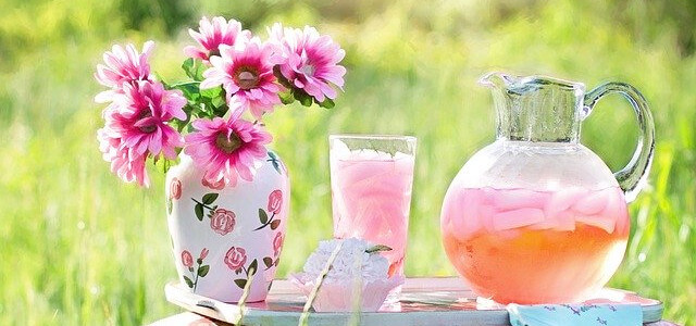 Freshstart - Trados Studio / MultiTermのリセットツール