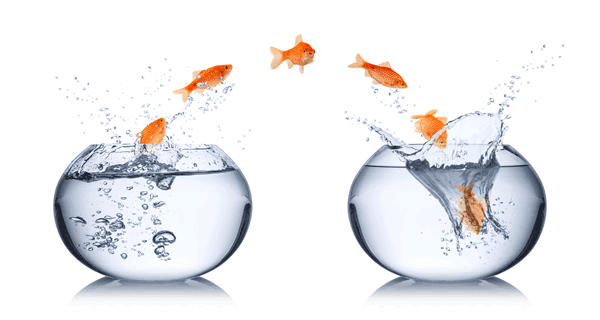 バイリンガル レビュー機能とその注意点